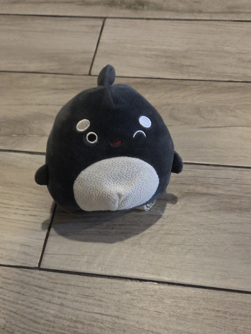 🍁Squishmallows 5 Inch Kai Orca Whale Plush